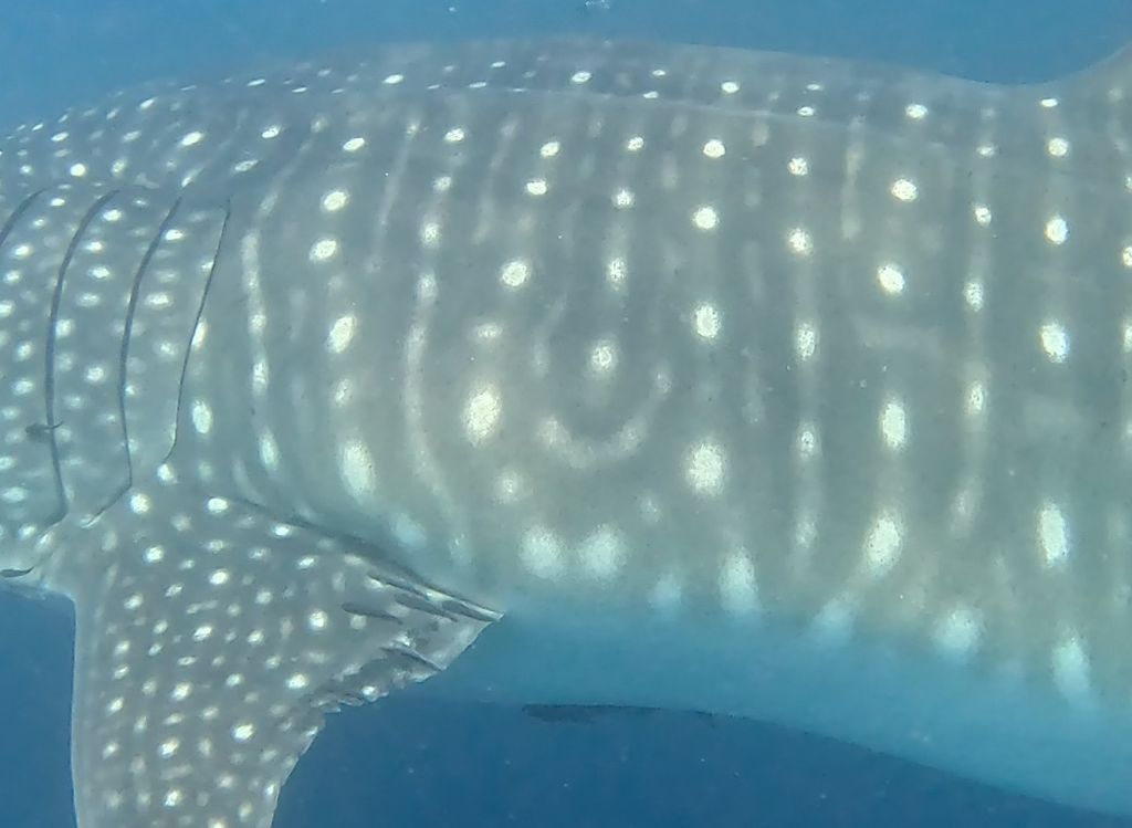 74e8dd16-2766-4571-bff0-6c7614a556f3