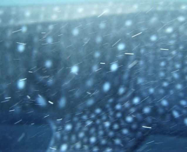 0be9e296-c920-4101-90a4-c7ccc538d030