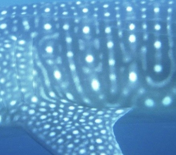 0be9e296-c920-4101-90a4-c7ccc538d030