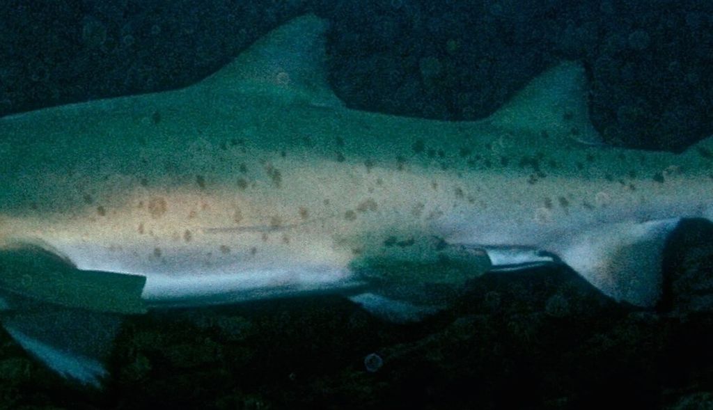 b96d567b-a404-47b5-8186-9cd6ef01ca3a