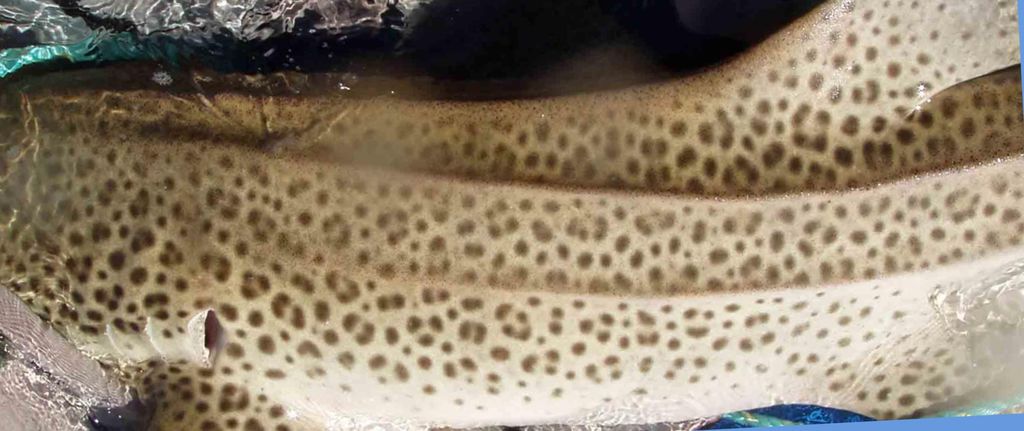 3a84edbc-fac3-40b0-b2d5-66c2fc383eae