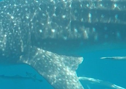 8165ff56-3476-4b0b-b10f-5b77fc71526e