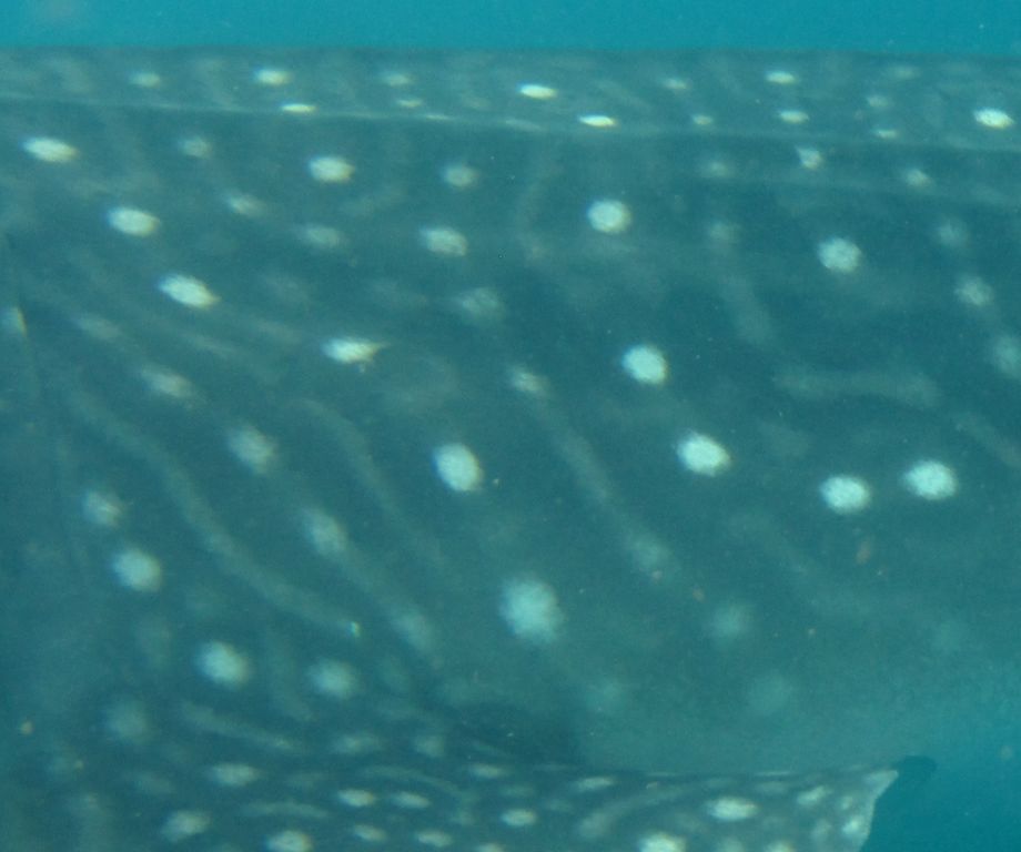 17eb045d-7576-4554-9883-5b6c3b88385e