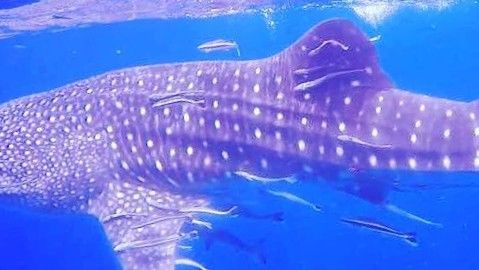 df3c167b-45a4-40bc-99cd-38c4f6576bad