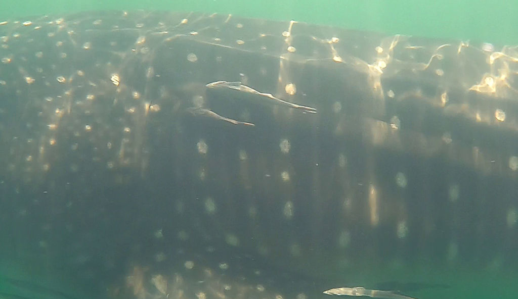 824ceea1-6faa-4968-b5a1-d580d3c73938