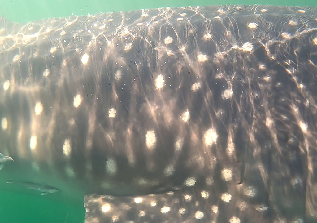 824ceea1-6faa-4968-b5a1-d580d3c73938