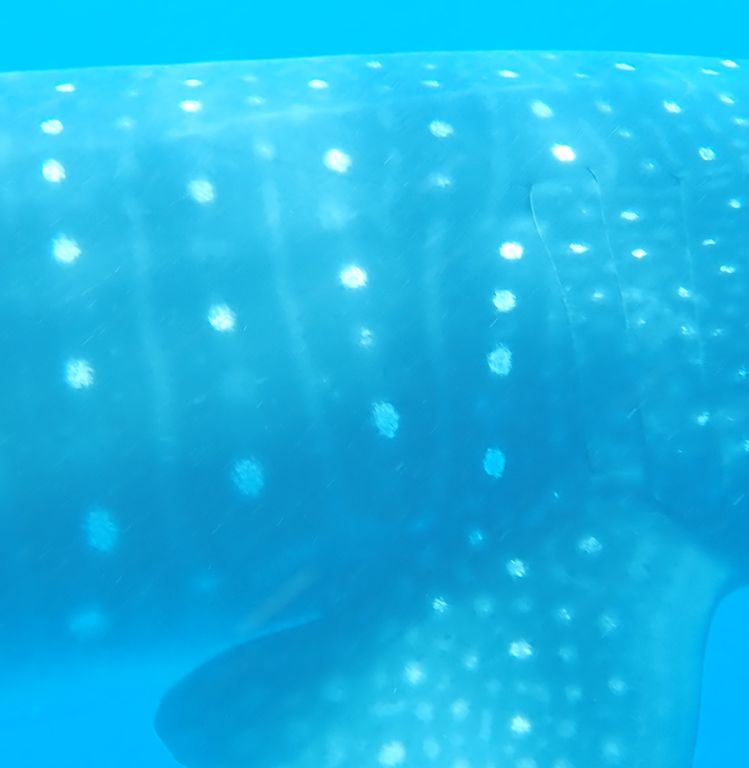 2b561298-98a6-41f8-be73-899f4edeb395