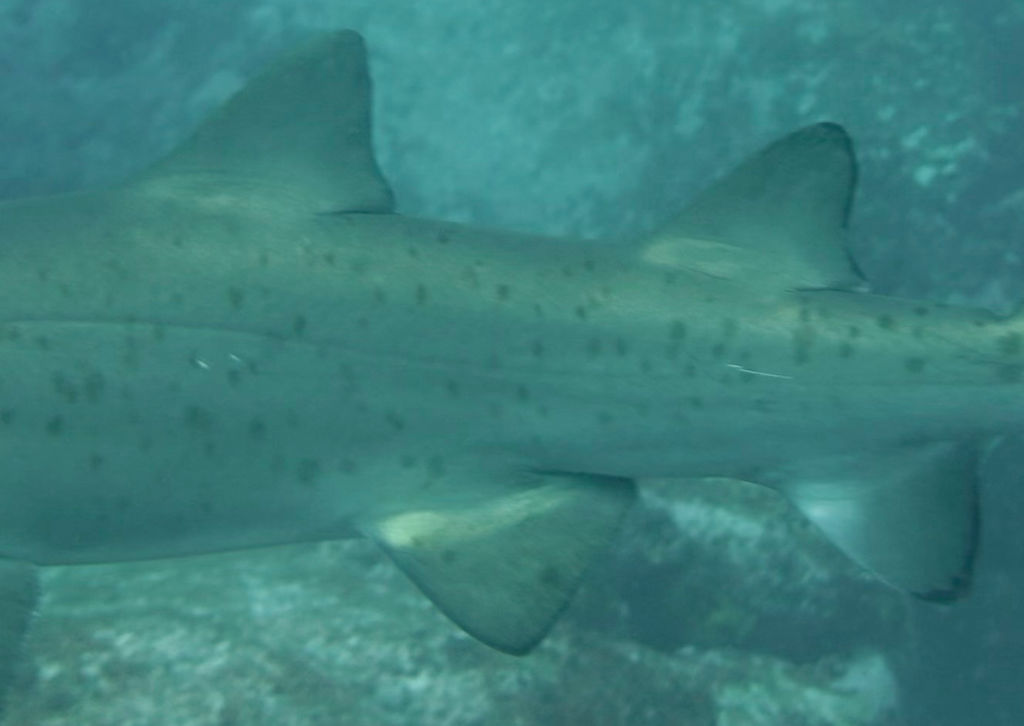 a296121c-f0a5-45aa-ab8d-c8d3dc17bf47