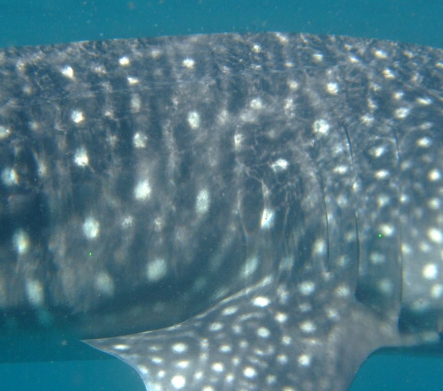 5a71739f-5d90-4175-a2ca-1d7d0717b936