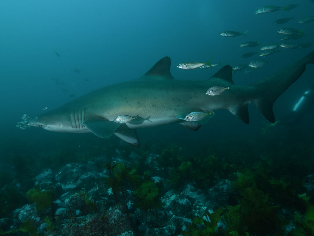 885f178d-1ece-4462-be71-d052b40b7118