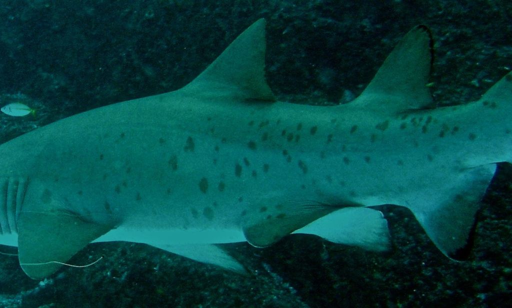 9aff1249-9c45-4316-b785-3befa534bb52