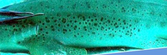 8fd8e6f3-9e25-4818-adf3-ee544e773268