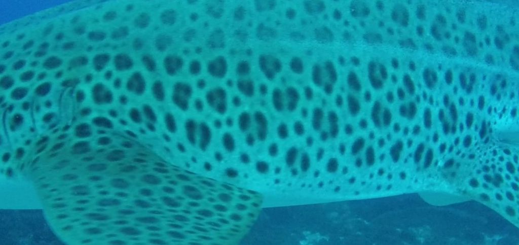 9eb2221a-709e-43d0-81b9-3ae6fc30a12d