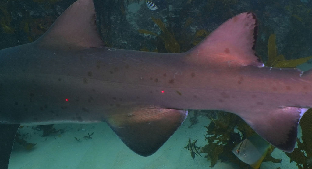 bfdb1ea9-500c-48c3-b1a8-e300236d7229