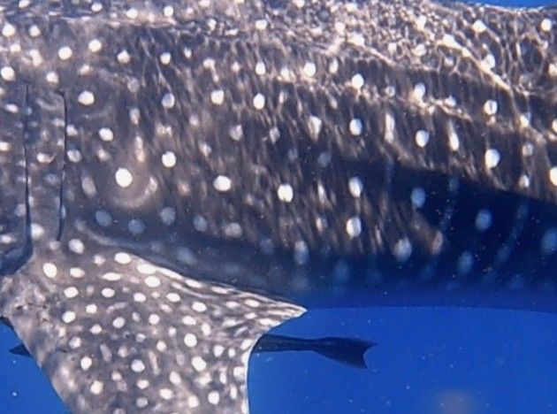 05008841-665d-4d7c-8994-0a9bd5519d17