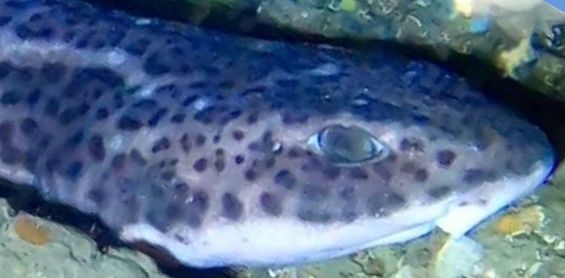 021b3d33-9215-4c67-98e3-5d4fe8a0878f