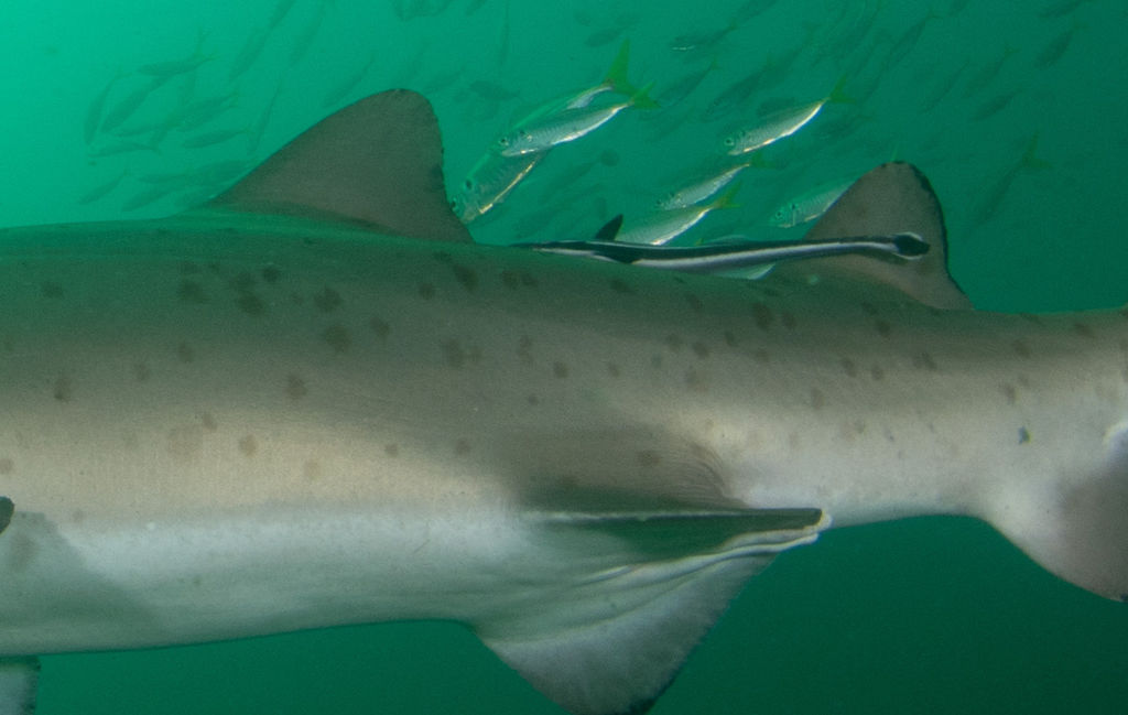 387a9329-fbe8-4d66-ae14-6142b7bf9d84