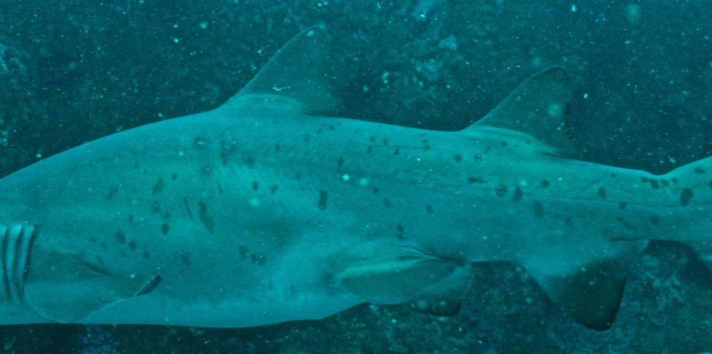 8487c253-15e7-464f-b56a-d666b23550ee