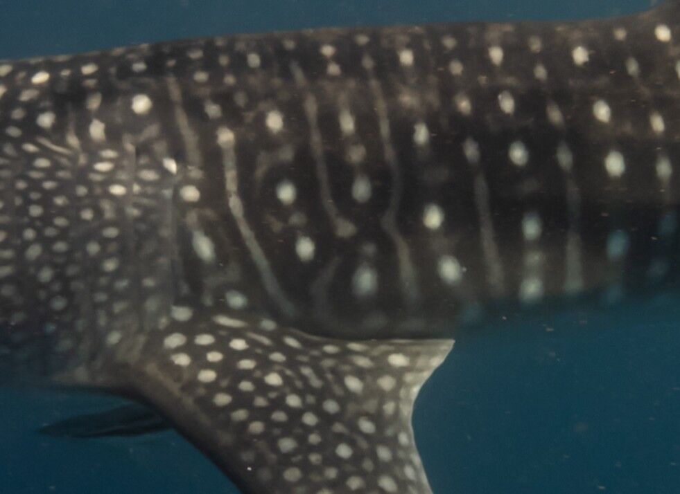 f07cad4f-3f39-4e03-a535-0749b70c2fec