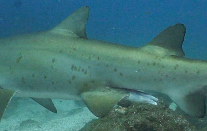 8f7f3927-d35c-45d7-ac73-e80901d02e1e