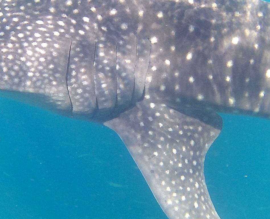 4a5cf9cb-3473-400b-b15c-846fac8198d3