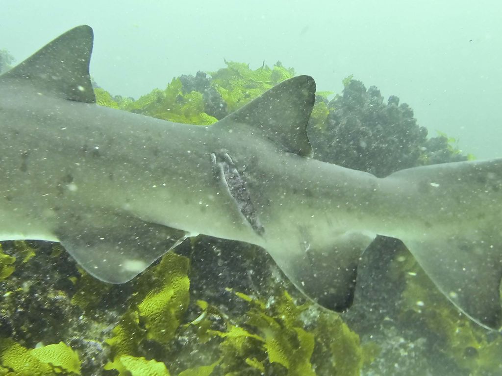 639ce012-020a-4eed-9fe6-807d4d3a05f1