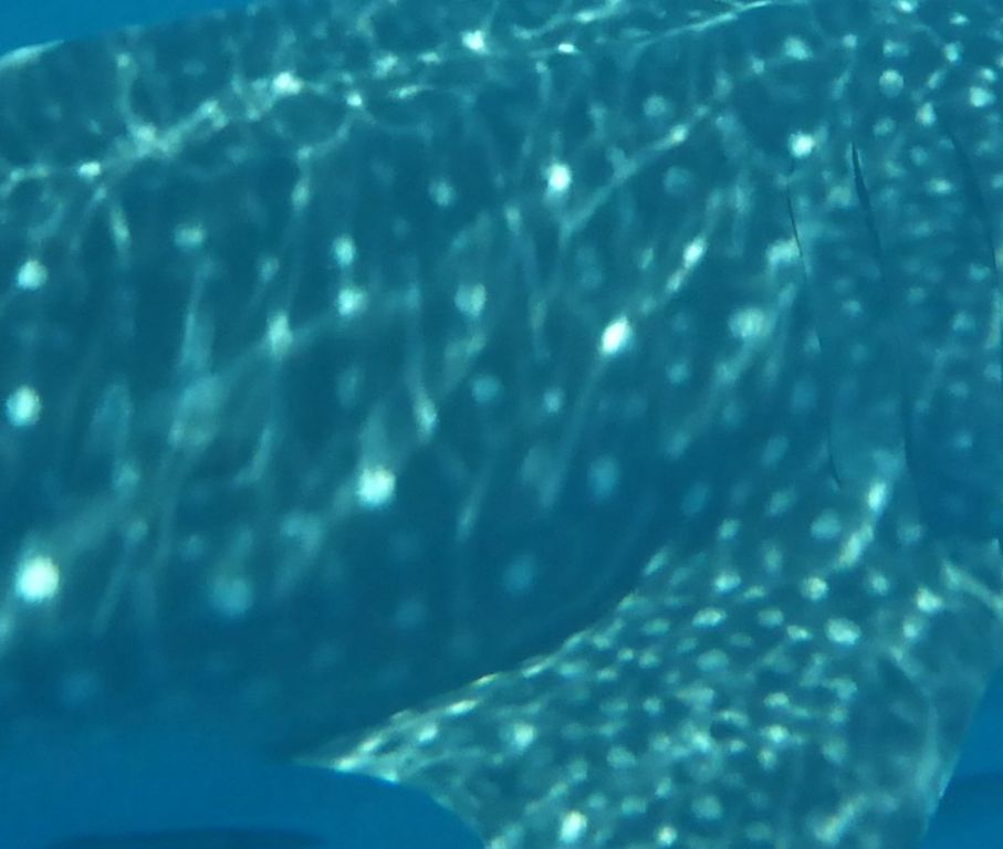 e6ee51bf-670f-4559-ad10-ee9310f7b293