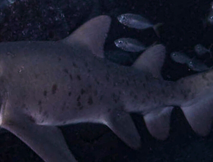 86ca6564-4c6a-40ff-9045-974d74225573