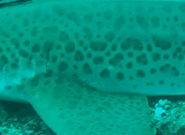 b25aff00-df34-4679-b664-e3e53940e4ab