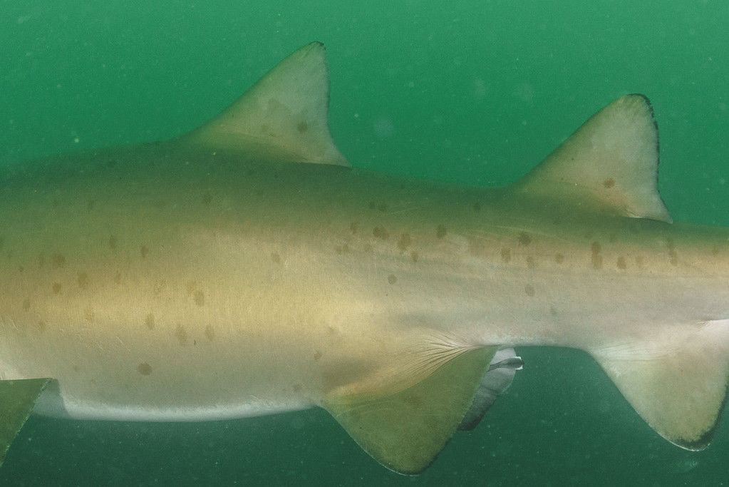 c48e6fd9-45e5-4dfd-a06c-85dcecdbe167