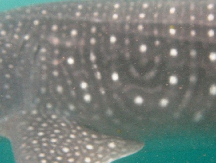 a5713e09-f747-4504-b58c-512b263e6f1f