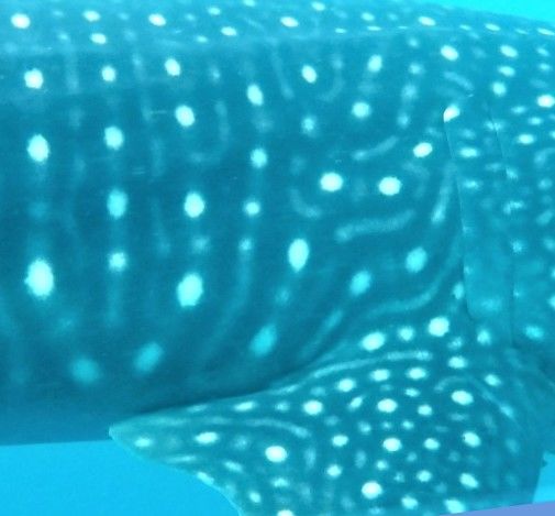 a8f62c4e-e471-42a0-8be8-3cdc4732ba34