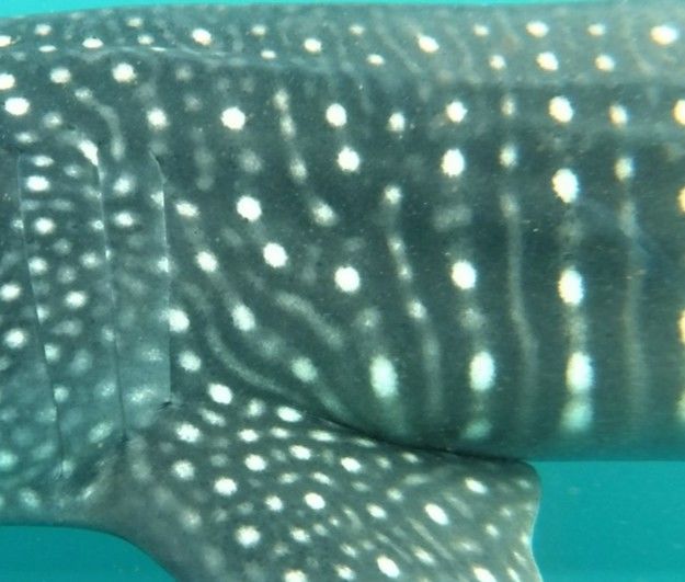 a8f62c4e-e471-42a0-8be8-3cdc4732ba34