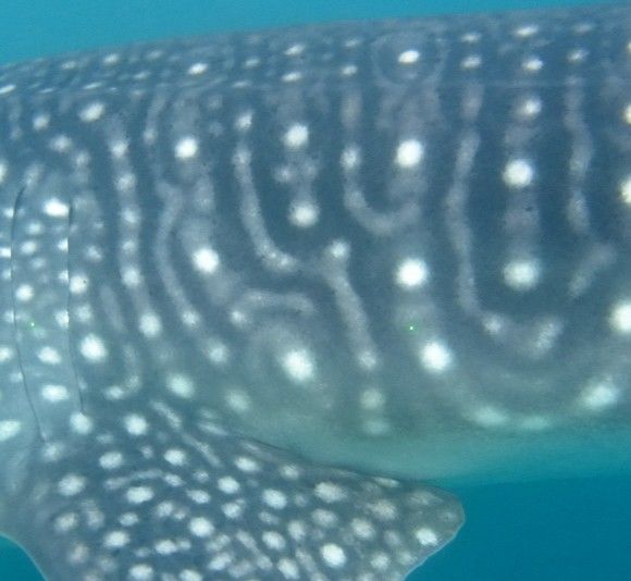 0d3a304c-21f0-4ff7-a816-428f4efdac2e