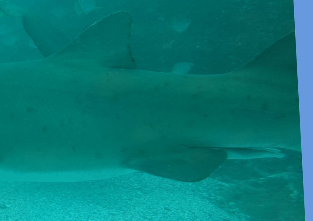 7940193c-518d-437d-962f-a7996138cbed