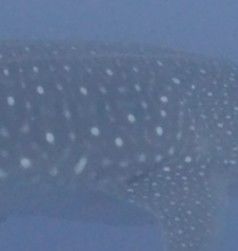 6bef2826-998a-45d5-acdd-b99a310d6cd7