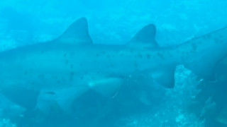 b747b3ea-ee8d-478f-b0d4-effeebab0f85