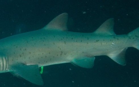 dc83292d-3fda-4aff-905b-1fd35349cc17