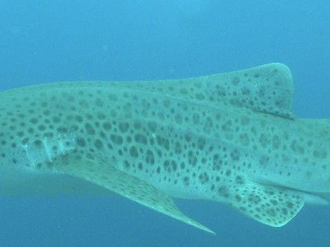 0dc6a00c-7176-4625-ba20-164aab07ccf6