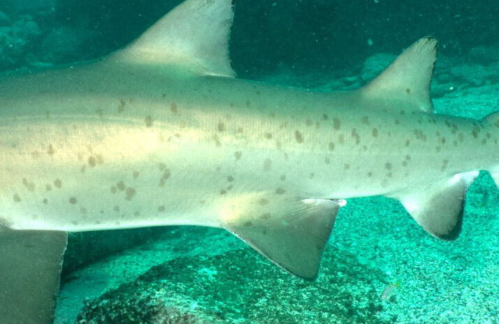 cc8b6016-dbcd-4d7f-8ddc-cfee72bd5220