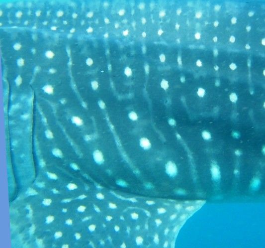 16f11bb7-b8f6-4f63-bd81-6f1f65d80e6c