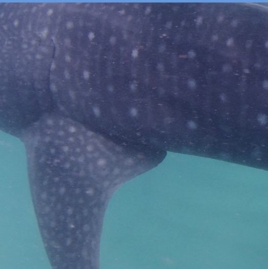 05918b6c-5410-44d1-93a6-80787d232970