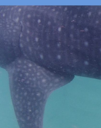 05918b6c-5410-44d1-93a6-80787d232970