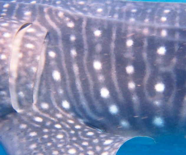 84280268-4526-4ec1-9ee1-346dc605272f