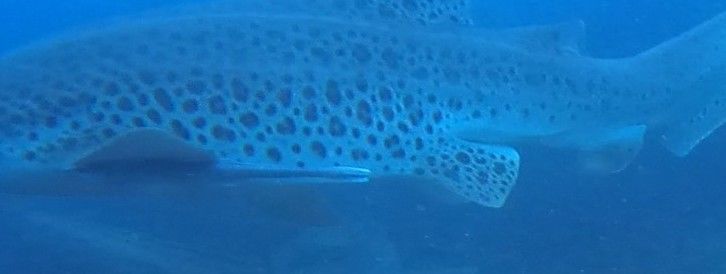 34d9b194-5317-4174-a80a-30e658b7f444