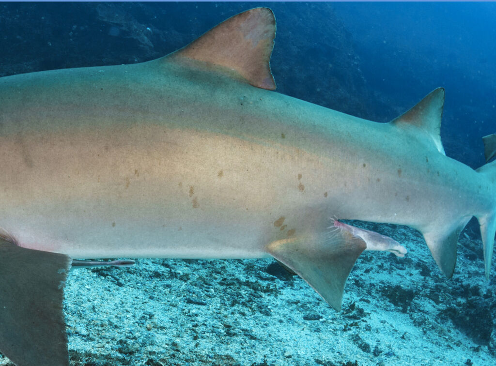 0deefaed-8da8-43a0-b047-4b0bf9401a92