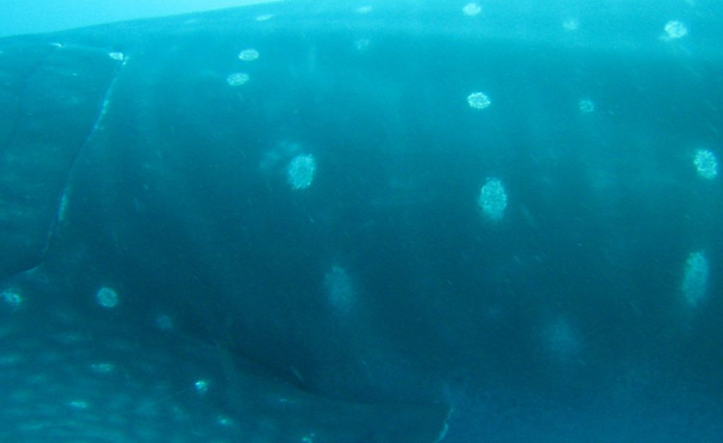 e1e62e3f-d396-4b3f-9be5-dc11744031c5