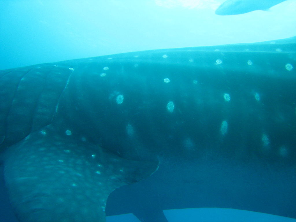 e1e62e3f-d396-4b3f-9be5-dc11744031c5