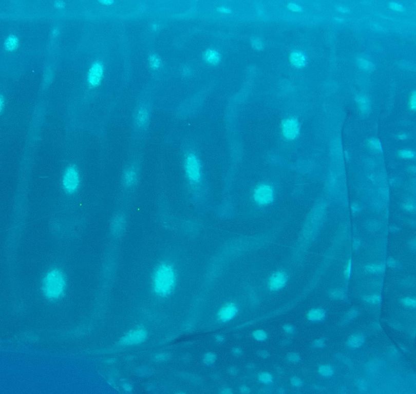 1f91d777-94d2-4d19-b564-3eb7679abb04