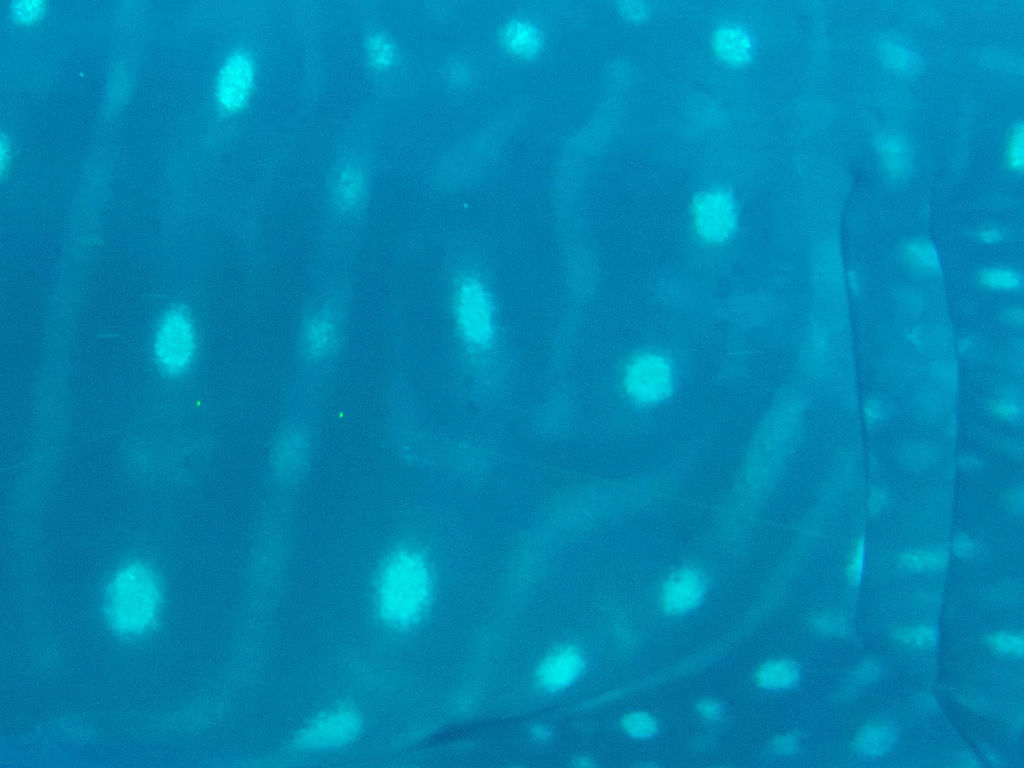 1f91d777-94d2-4d19-b564-3eb7679abb04